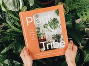 Gifts for plant lovers